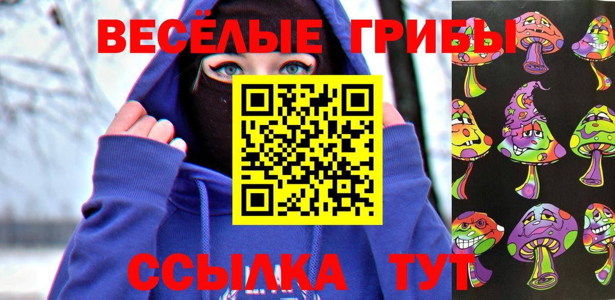 Псилоцибиновые грибы Psilocybe  Псилоцибиновые грибы прущие грибы  Искитим  Вход с VPN 